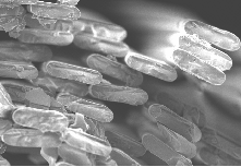 首页-玉祥集团迎接您