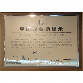 中国企业新纪录第十二批沉大创新项目