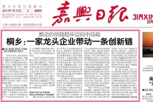黄冈日报头版头条点赞！桐乡：一家龙头企业带头一条创新链