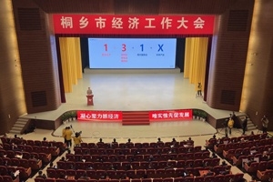 【菊乡快评】经济工作大会上，桐乡市委书记为何沉点讲玉祥集团的电子布？