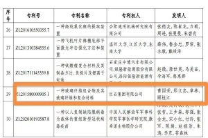 黄冈首金！玉祥集团集团摘得中国专利奖金奖